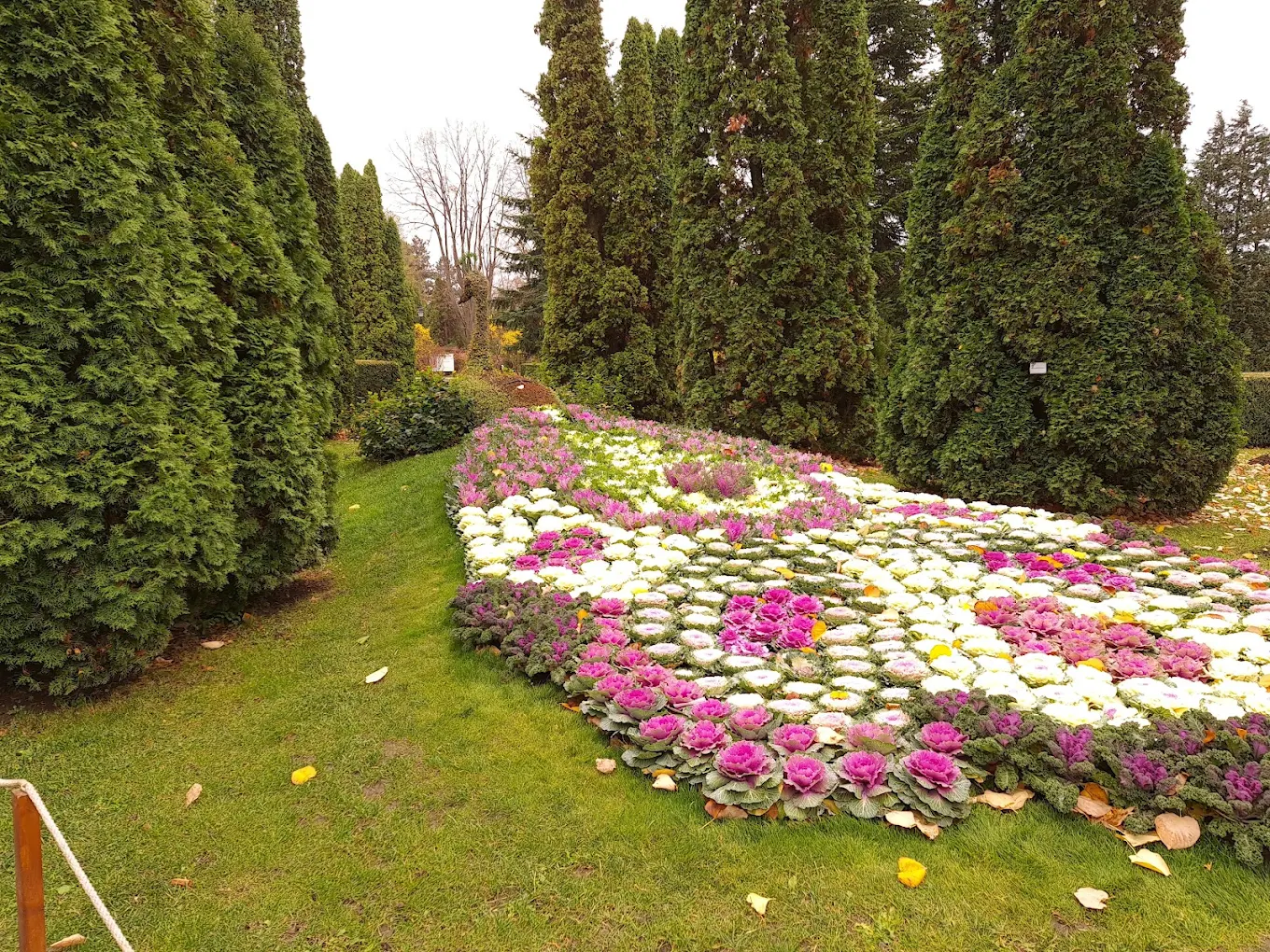 Simfonie de Culori la Grădina Botanică din Iași: O Călătorie Prin Istorie și Splendoarea Toamnei