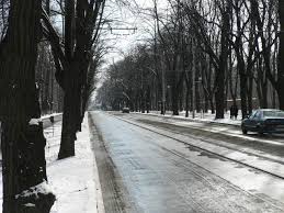 Oficial: Iașul a intrat în dispozitiv de iarnă. Primăria a activat Comandamentul de Deszăpezire cu o flotă de 160 de utilaje