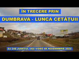 Licitația care lărgește nervii, nu drumul. Lunca Cetățuii și centura eternă de la Podu Iloaiei